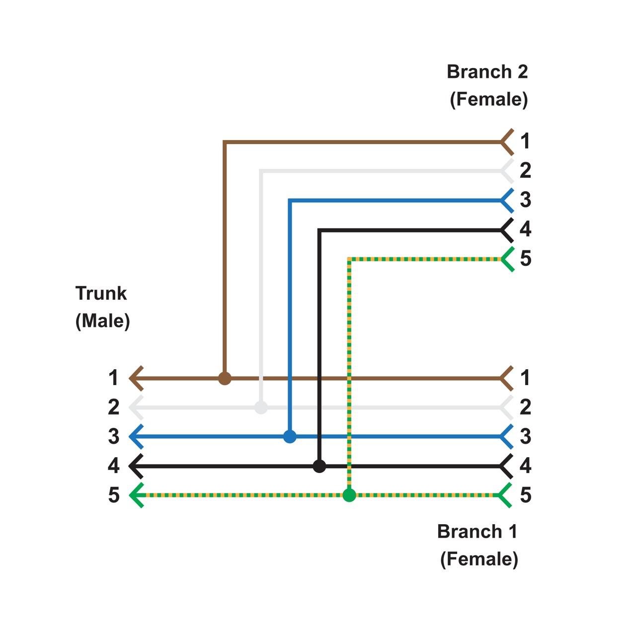 Banner CSB-M1258M1251 M12 QD Splitter Cable; 5-pin Straight male M12 2.44 m (8 ft) Trunk; 5-pin Straight Female M12 0.3 m (1 ft) Branch 1; 5-pin Straight Female M12 0.3 m (1 ft) Branch 2; Nickel-Plated Brass Coupling Nuts Yellow Jacket